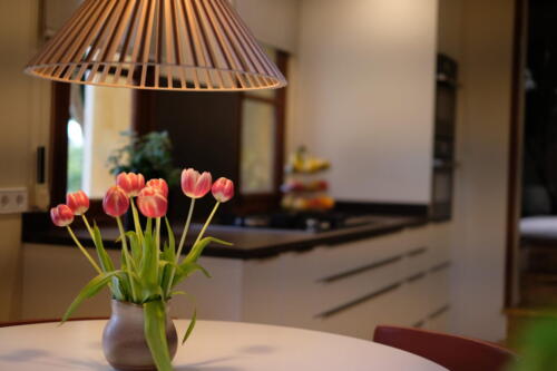 hacker palma cocinas4